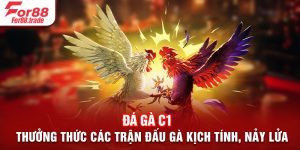 Đá Gà C1 - Thưởng Thức Các Trận Đấu Gà Kịch Tính, Nảy Lửa