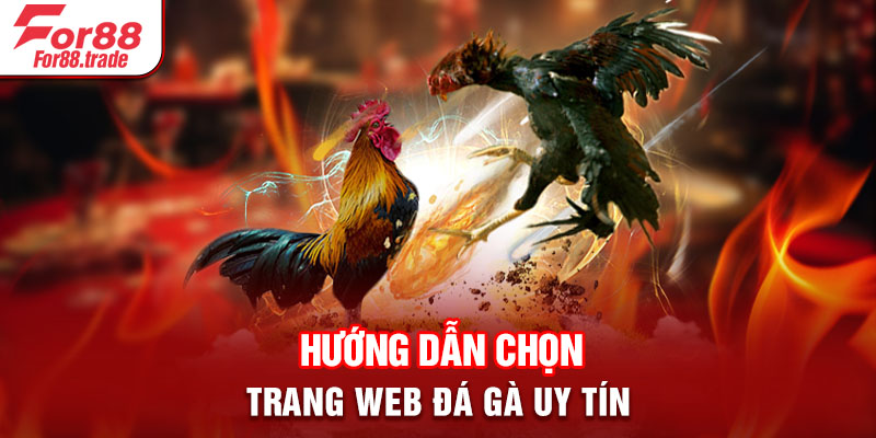 Hướng dẫn chọn trang web đá gà uy tín