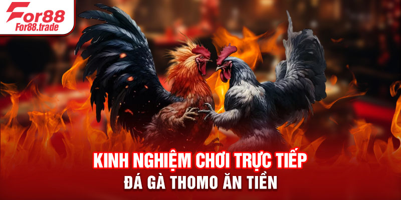 Kinh nghiệm chơi trực tiếp đá gà Thomo ăn tiền