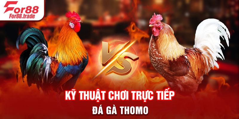 Kỹ thuật chơi trực tiếp đá gà Thomo