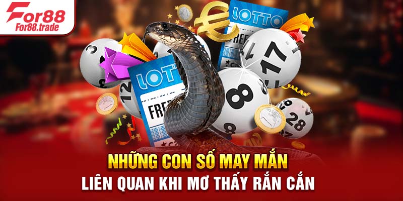 Những con số may mắn liên quan khi mơ thấy rắn cắn