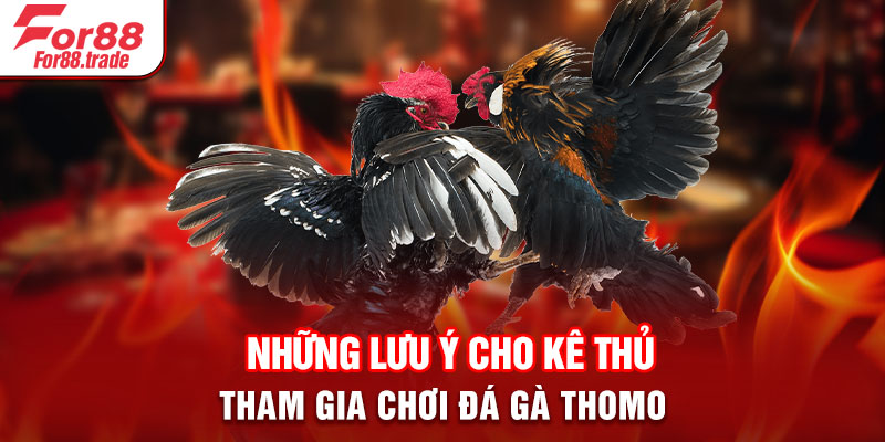 Những lưu ý cho kê thủ tham gia chơi đá gà Thomo