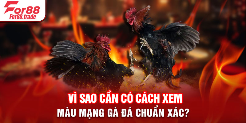 Vì sao cần có cách xem màu mạng gà đá chuẩn xác?