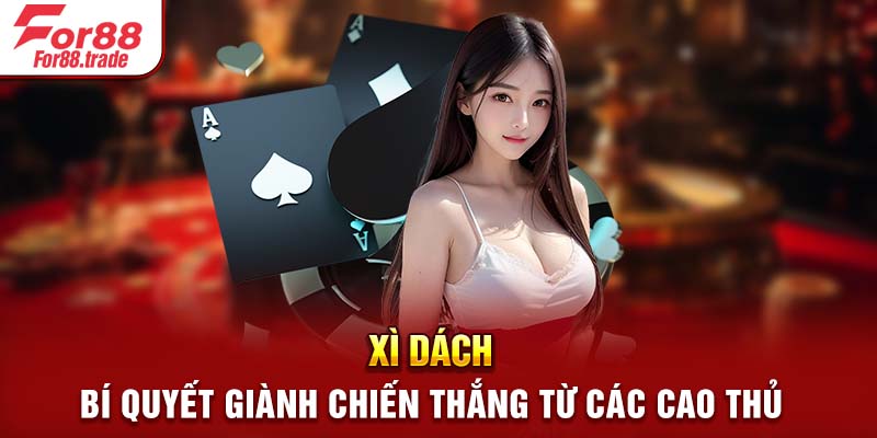 Xì Dách - Bí Quyết Giành Chiến Thắng Từ Các Cao Thủ